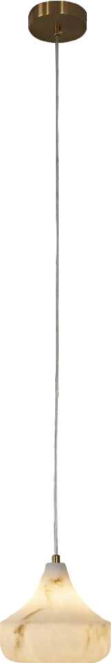 CL-NO-DH-Y98035 Series
