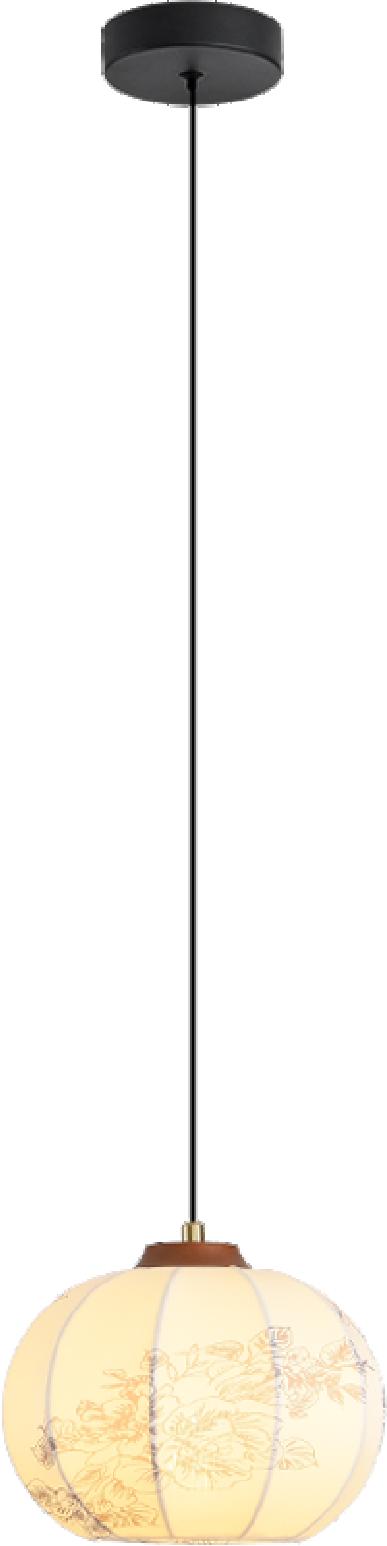 CL-ENO-MJYP5916-B Series
