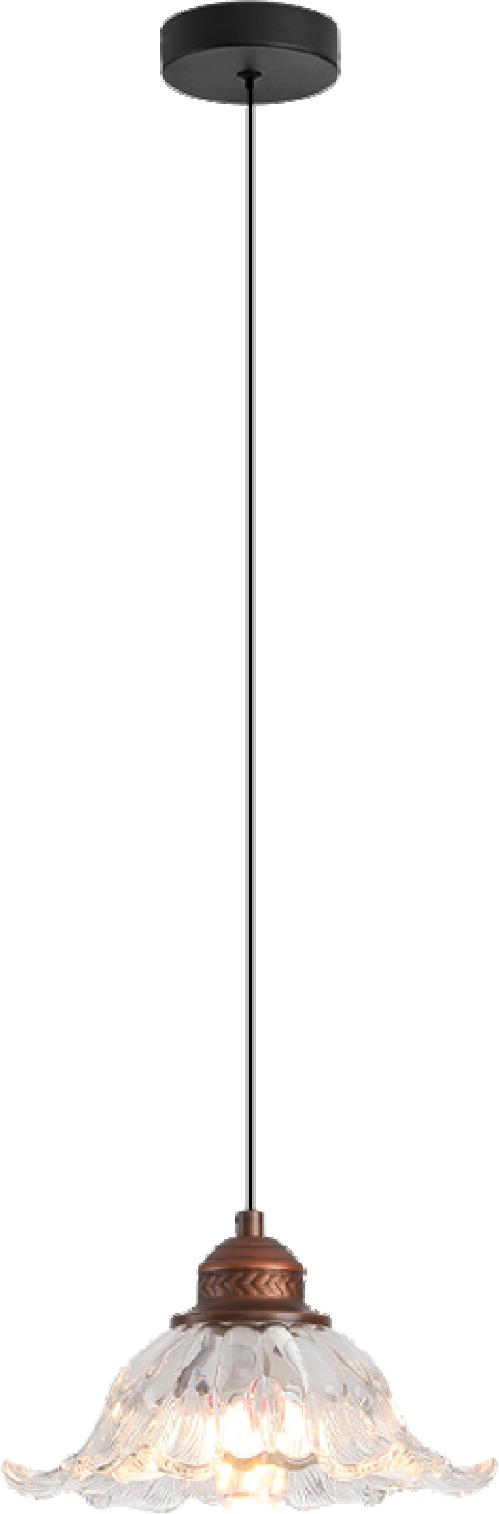 CL-ENO-MJYP5916-C Series